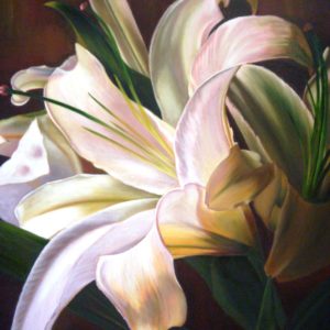 Lirio Blanco