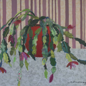 Cactus de Navidad