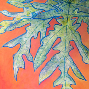 Papaya